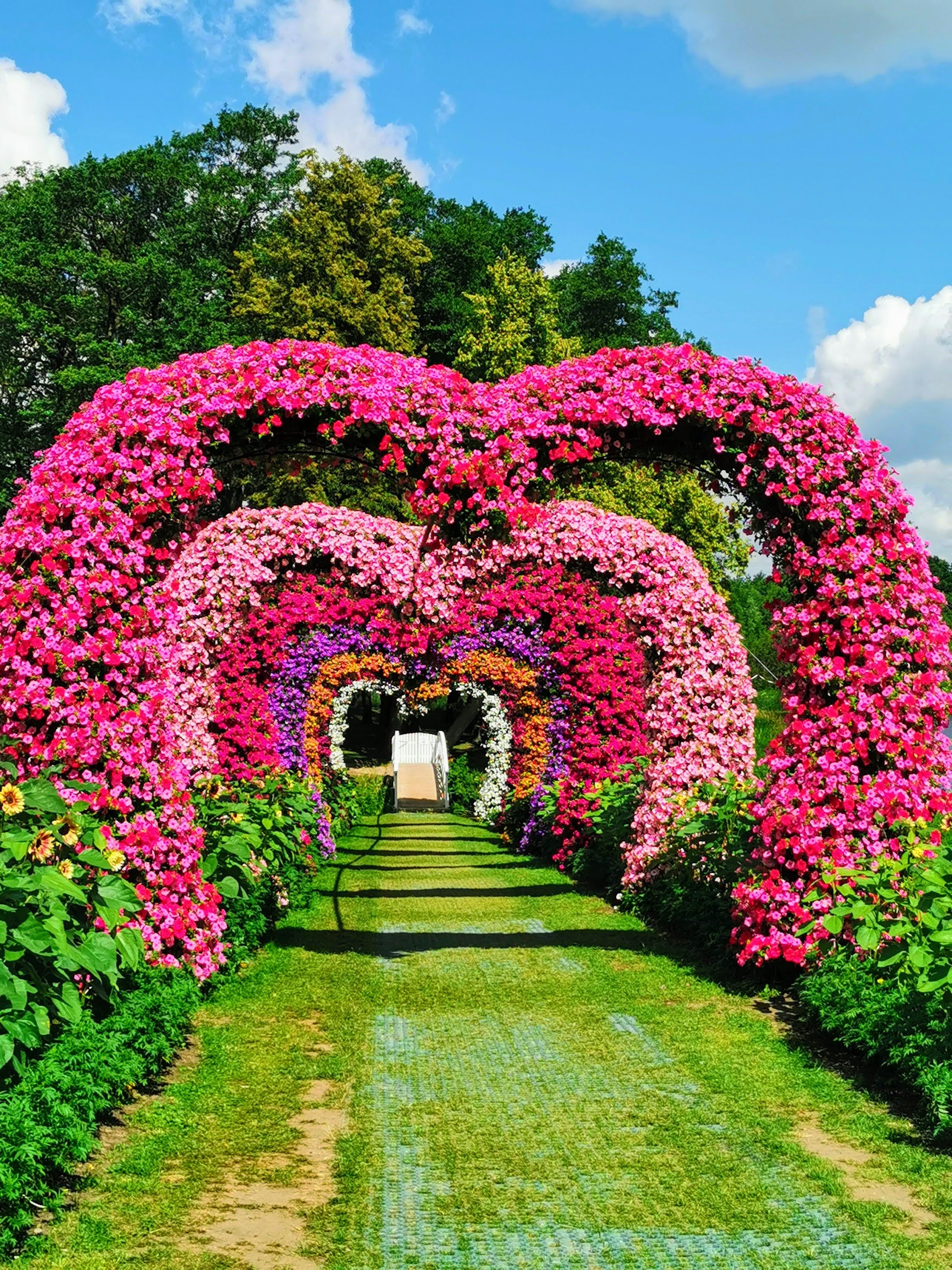 Pakruojo dvaras (Pakruojis Manor)